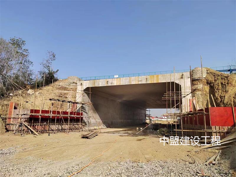 207省道黃岡化工園至南湖工業(yè)園段改建工程項(xiàng)目YKO+787.5頂推箱涵施工